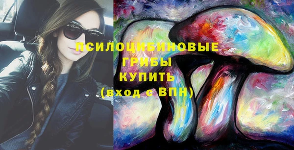 твердый Алексеевка
