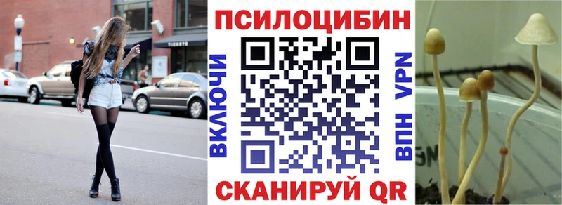 Псилоцибиновые грибы мицелий  Протвино 